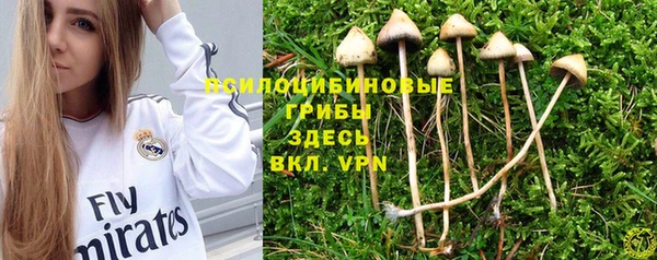 каннабис Дмитровск