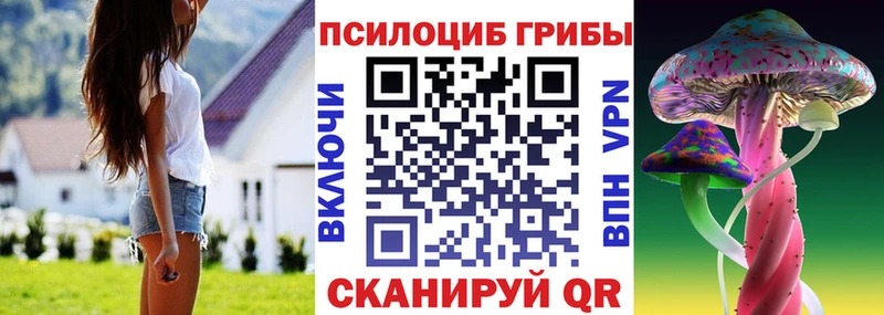 Купить где  Кострома  Псилоцибиновые грибы Psilocybine cubensis 